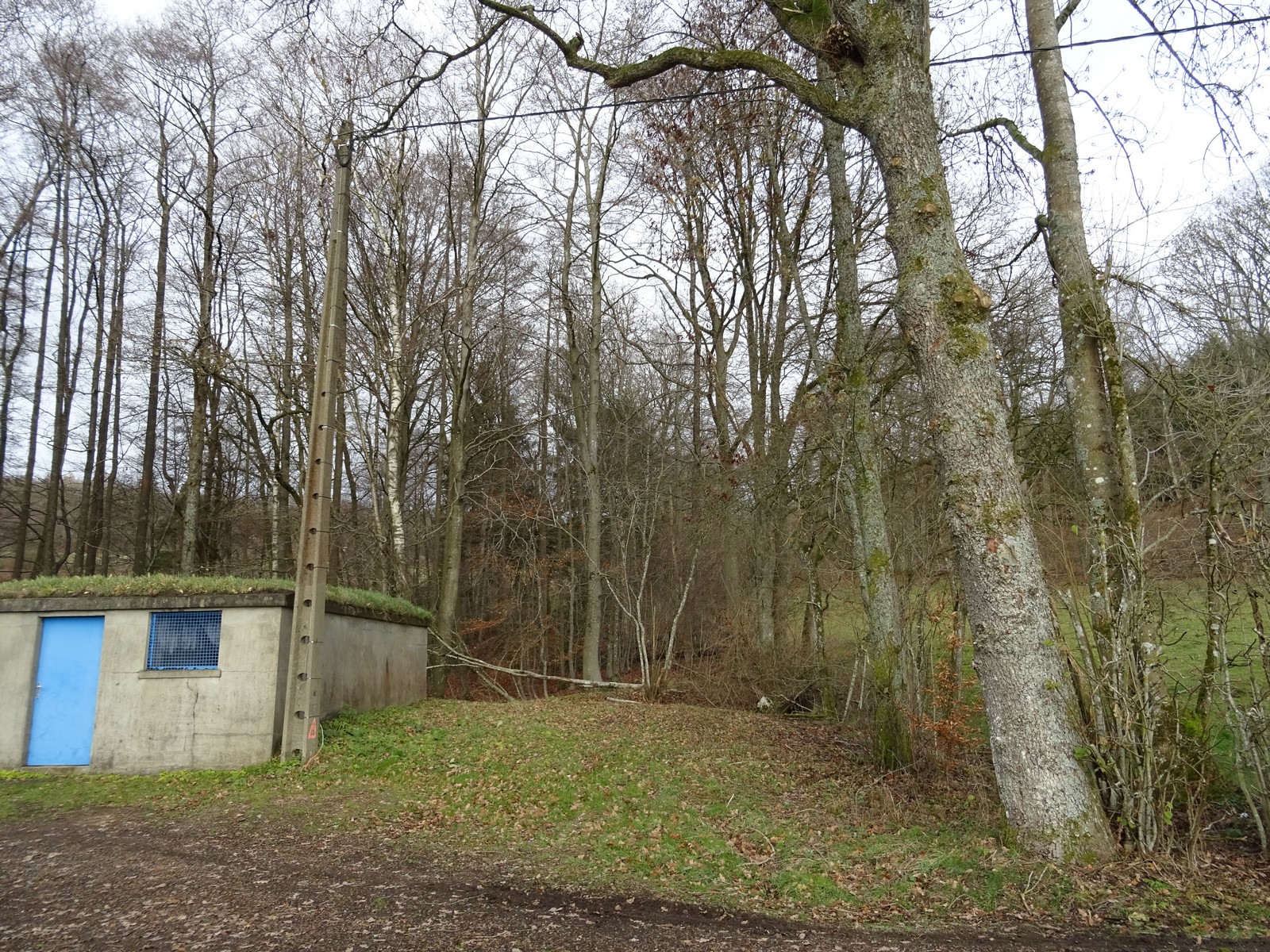 Parcelle De Bois à Vendre 28